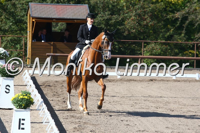 009M4505_Da Caprio_Dressur S Nachwuchs.JPG